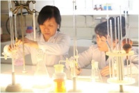 特普丽：中国首卷高档微孔透气壁布震撼上市